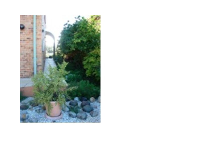 62 Eastbourne Avenue, Culburra Beach NSW 2540