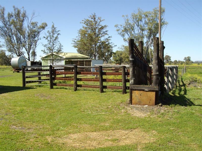 Gunnedah NSW 2380