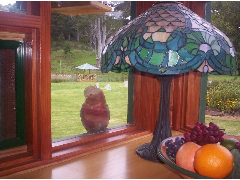 10 Billing Road, Sheffield TAS 7306