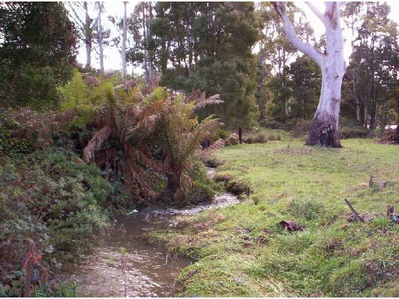 10 Billing Road, Sheffield TAS 7306