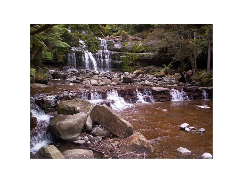 10 Billing Road, Sheffield TAS 7306