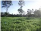 Baffle Creek QLD 4674