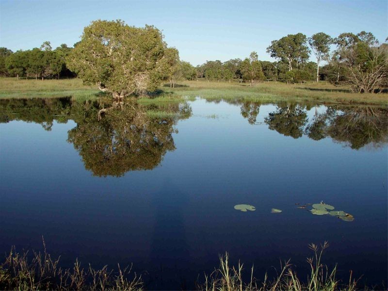 Baffle Creek QLD 4674