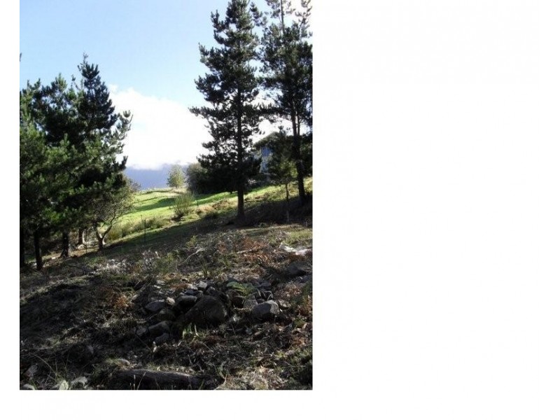 94 Liverpool Crescent, West Hobart TAS 7000