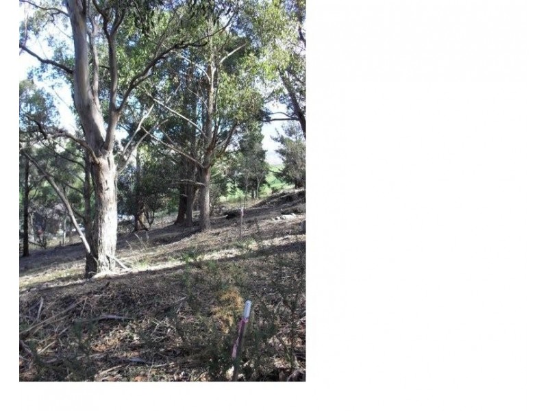 94 Liverpool Crescent, West Hobart TAS 7000