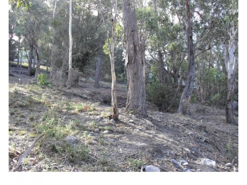 94 Liverpool Crescent, West Hobart TAS 7000