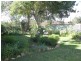 1 Talbingo Cres Lake Albert, Wagga Wagga NSW 2650