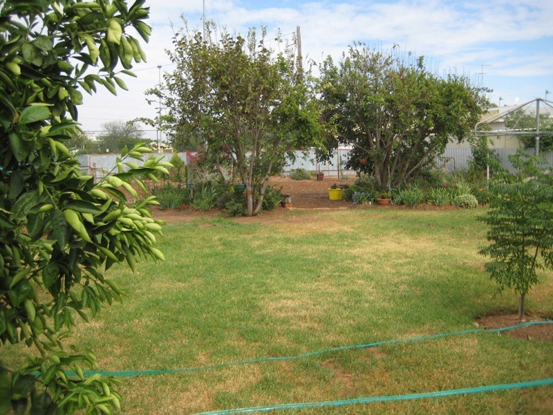 9 Princess Street, Urana NSW 2645