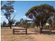 1 Airlie Street, Matong NSW 2652