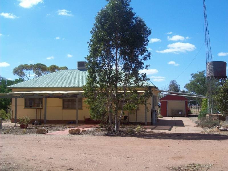 1 Airlie Street, Matong NSW 2652