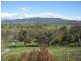 349 Lacmalac Rd, Tumut NSW 2720