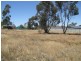Lot 1038 Bruce Street, Coolamon NSW 2701
