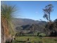 525 Goobragandra Rd, Tumut NSW 2720