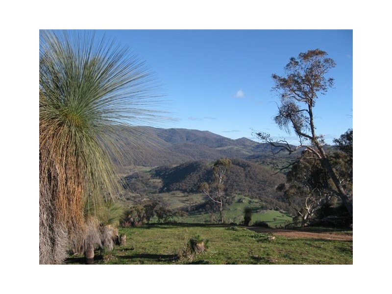 525 Goobragandra Rd, Tumut NSW 2720
