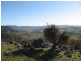 525 Goobragandra Rd, Tumut NSW 2720