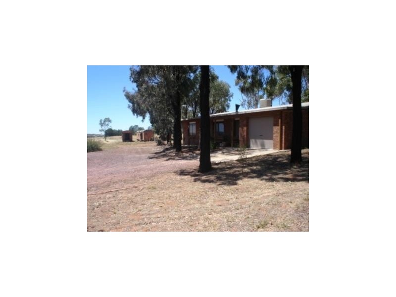 Lot 5, 304 Tabain Rd Corbie Hill, Leeton NSW 2705