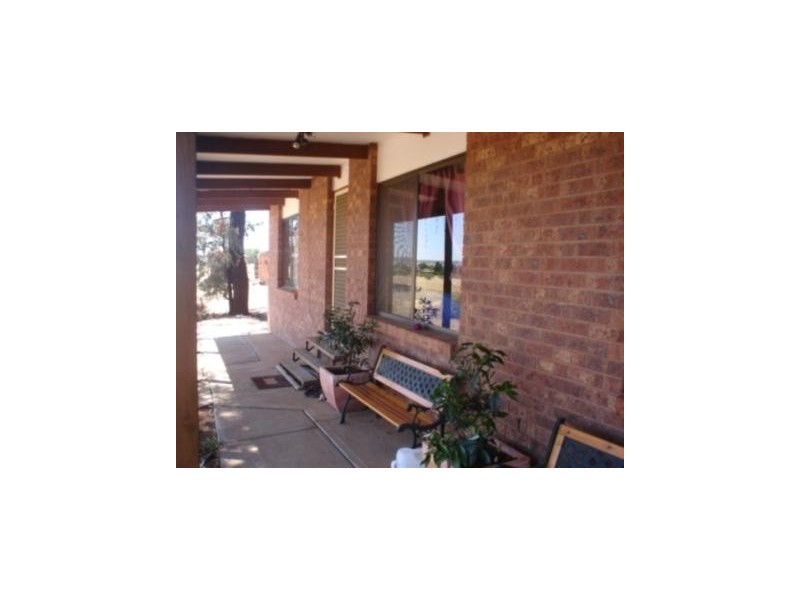 Lot 5, 304 Tabain Rd Corbie Hill, Leeton NSW 2705