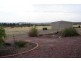 Lot 5, 304 Tabain Rd Corbie Hill, Leeton NSW 2705