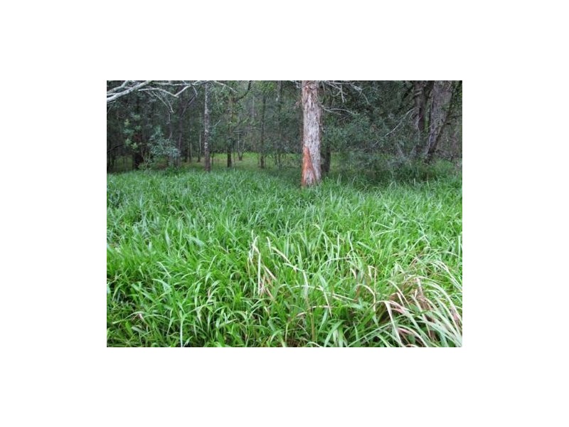 245a Evans Head Road, Woodburn NSW 2472