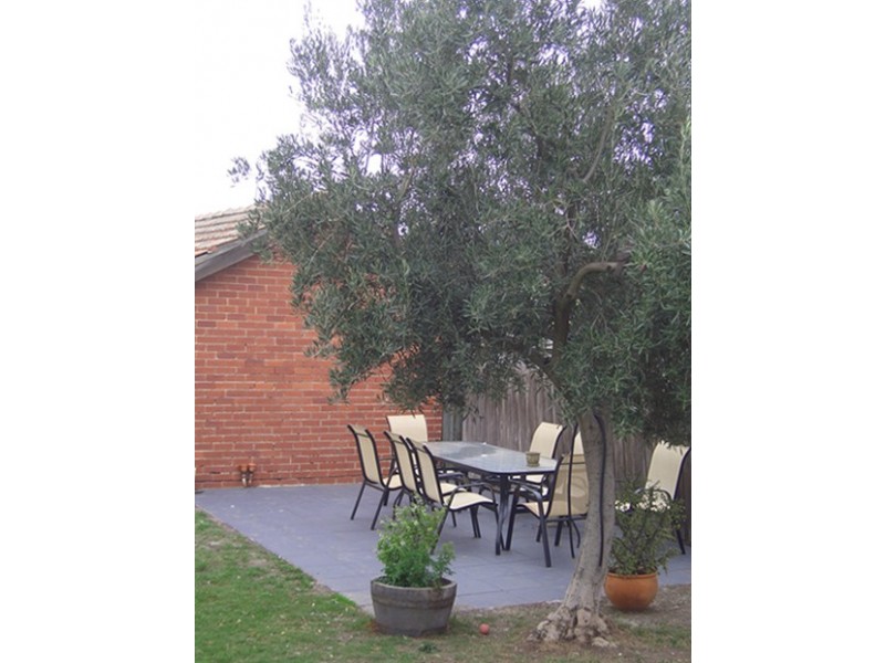 8 Sharp Grove, Coburg North VIC 3058