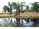 2292 Ipswich Boonah Road, Peak Crossing QLD 4306