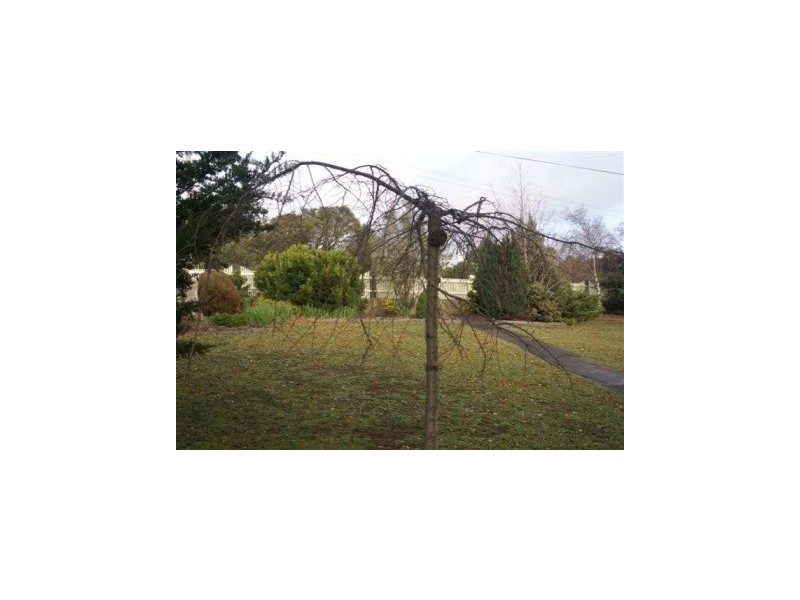127 Marion Bay Road, Copping TAS 7174