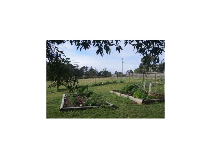 127 Marion Bay Road, Copping TAS 7174