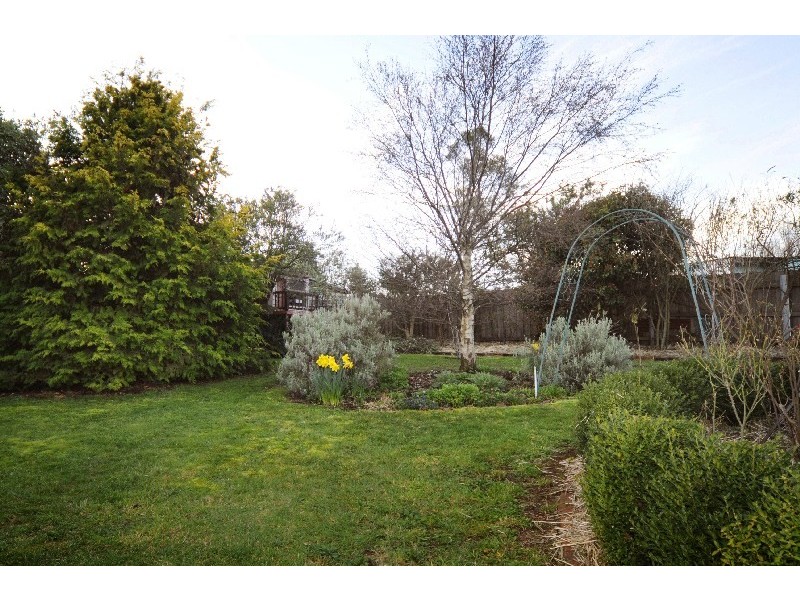 117 Emu Bay Road, Deloraine TAS 7304