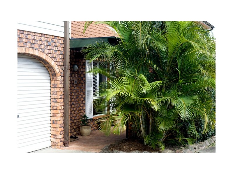 3/17 Molucca Ave, Palm Beach QLD 4221