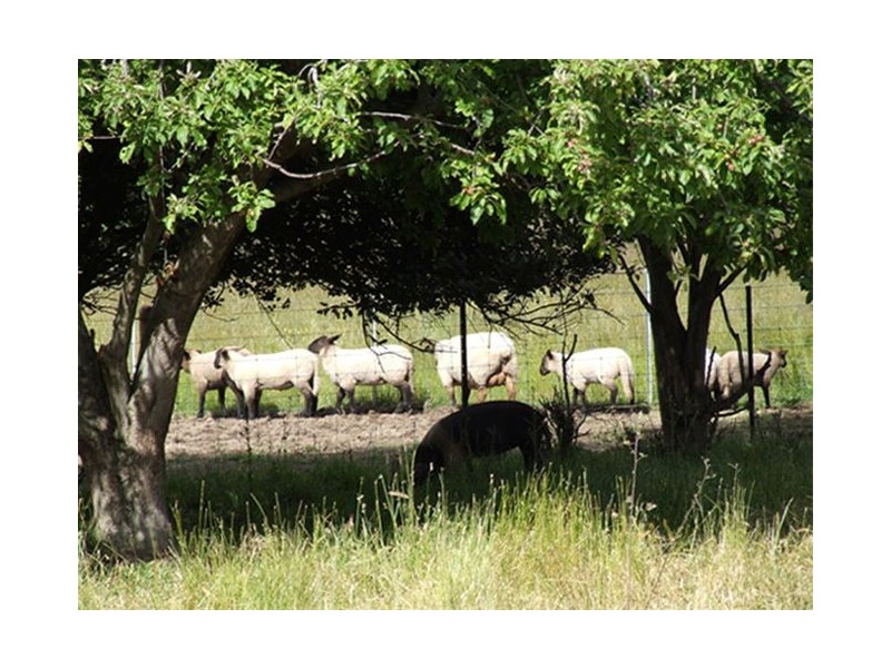 3 Cranes Road, Allens Rivulet TAS 7150