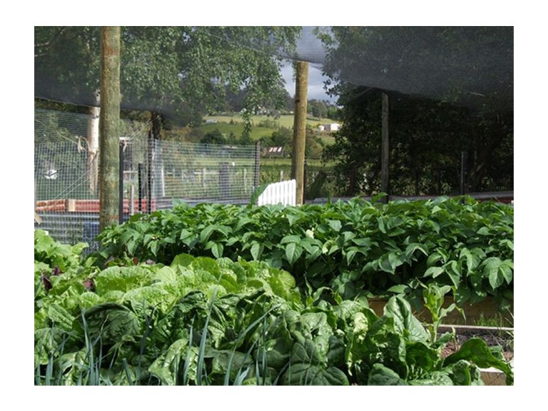 3 Cranes Road, Allens Rivulet TAS 7150