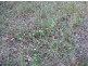 Lot 62, 73 Edinburgh Dr., Mount Hallen QLD 4312