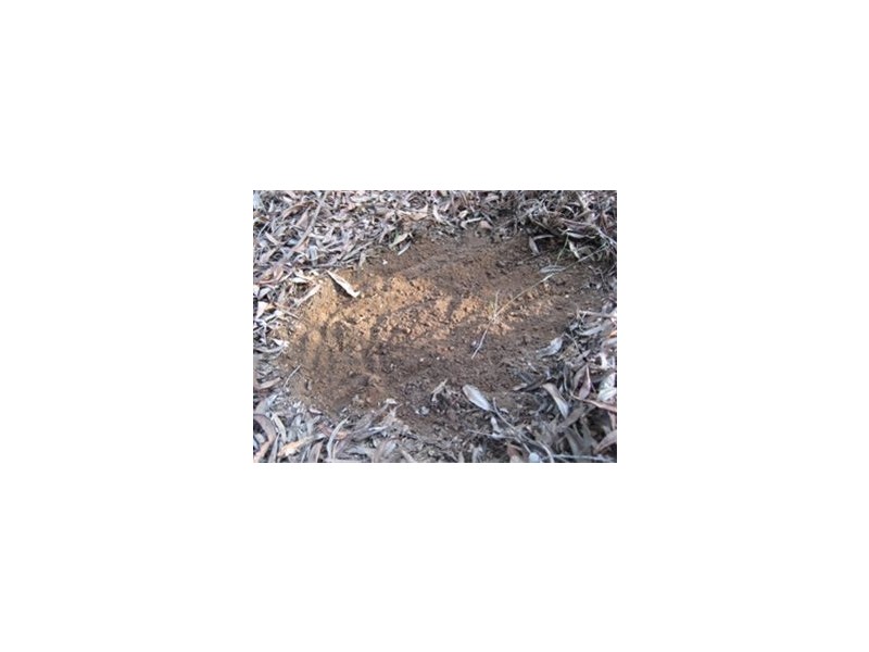 Lot 62, 73 Edinburgh Dr., Mount Hallen QLD 4312