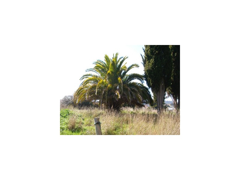 298 Mount Street, Burnie TAS 7320