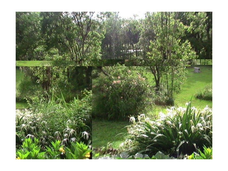 Nimbin NSW 2480
