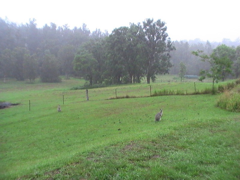 Nimbin NSW 2480