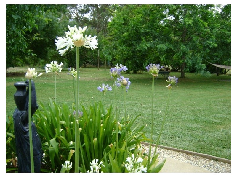 7103 Great Alpine Road Porepunkah, Bright VIC 3741