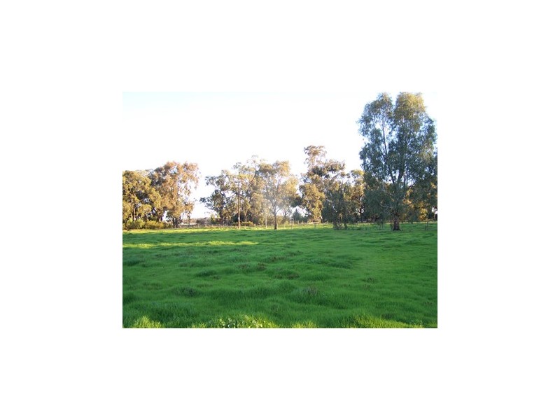 322 Bangerang Road, Echuca VIC 3564