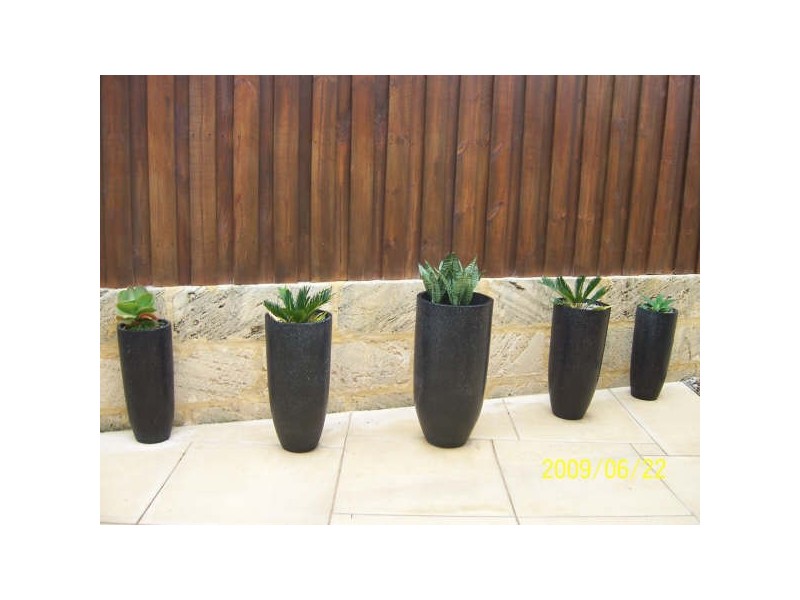 34 Dumaresq Loop, Quinns Rocks WA 6030