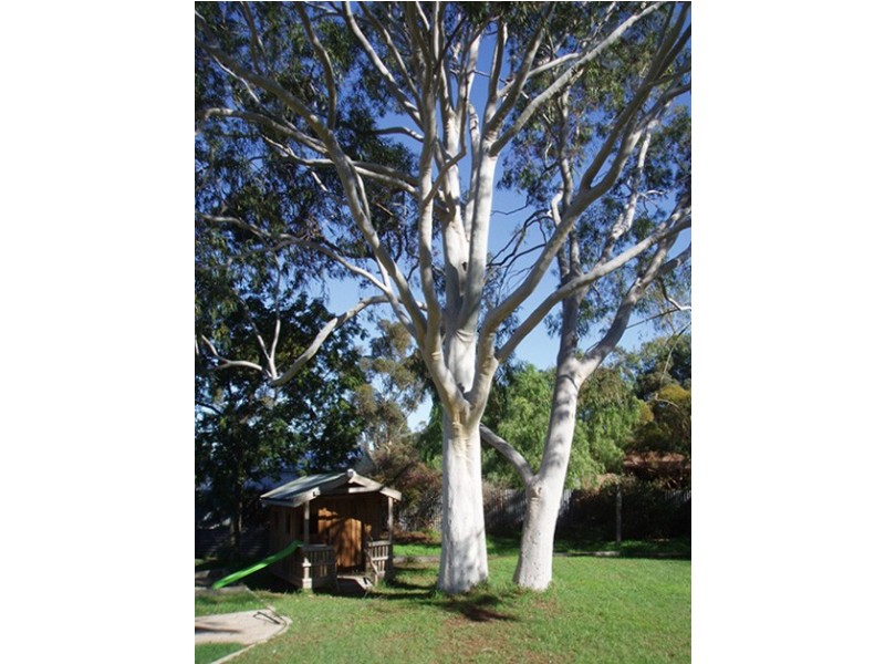 8 Parkers Road, Gawler Belt SA 5118