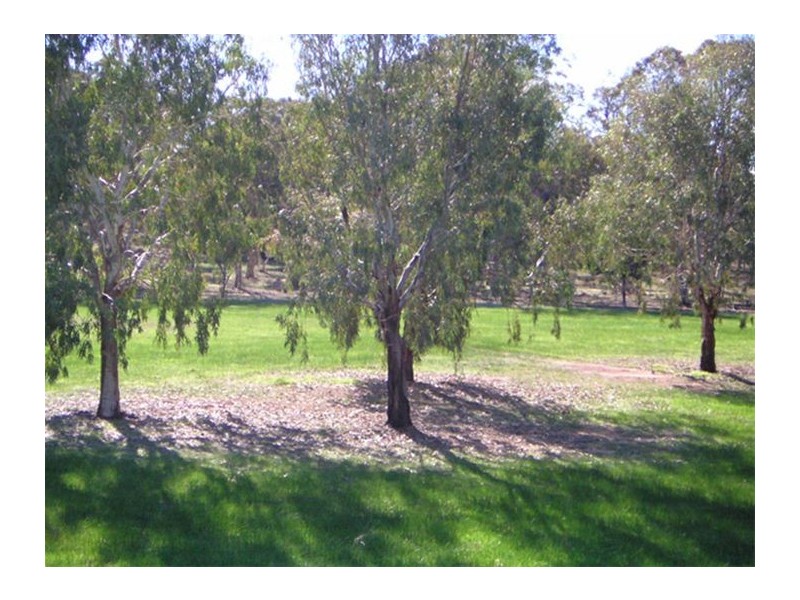 17 Mcguire Road, Broomehill WA 6318