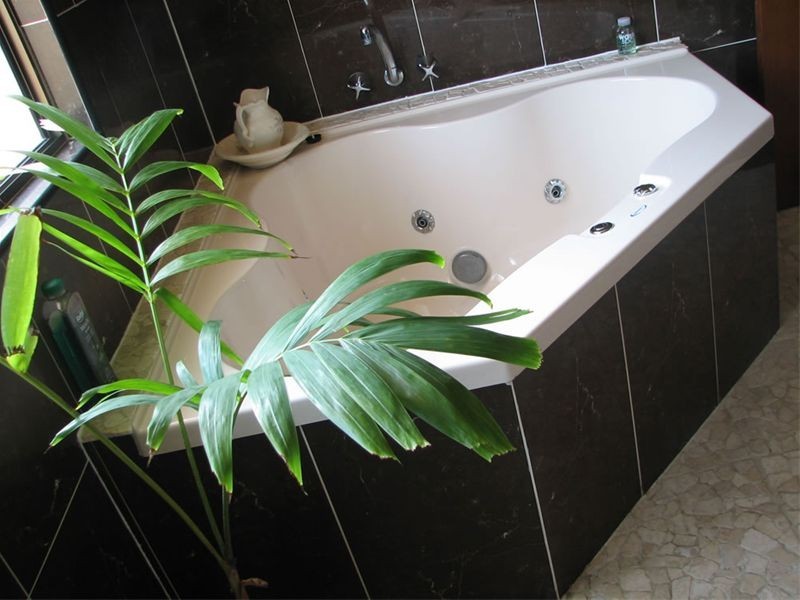 55 Rasmussen Avenue, Salonika Beach QLD 4740