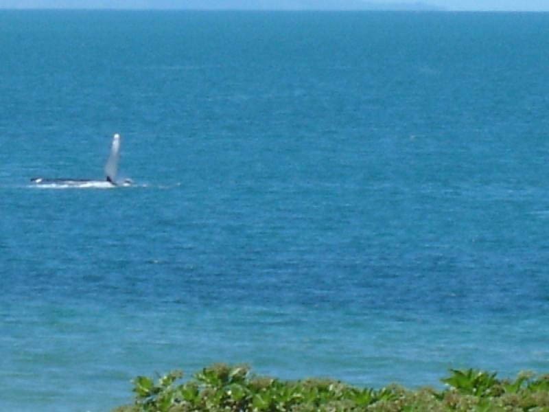 55 Rasmussen Avenue, Salonika Beach QLD 4740