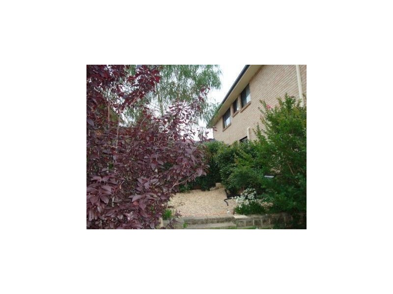 40 Feodore Drive, Cecil Hills NSW 2171