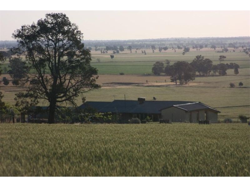 2 Vincent Road, The Rock NSW 2655