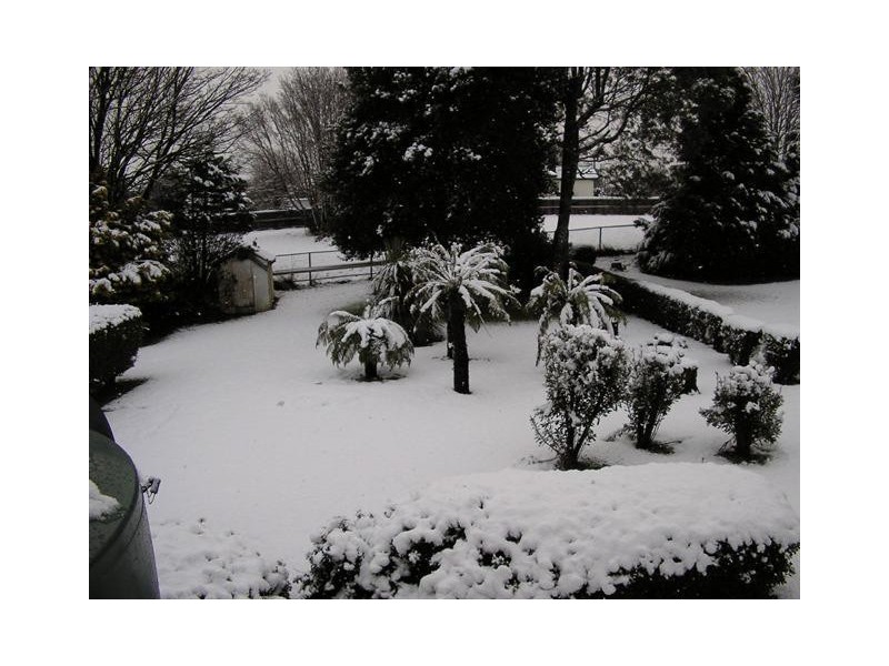 2 Smith Street, Waratah TAS 7321