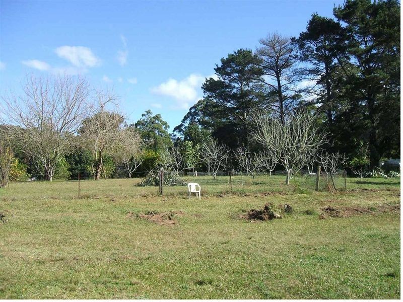 1651 Yarramalong Road, Yarramalong NSW 2259