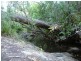 128 Junction Mt Road, Childers QLD 4660