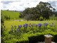 1105 Jacksons Track, Jindivick VIC 3818