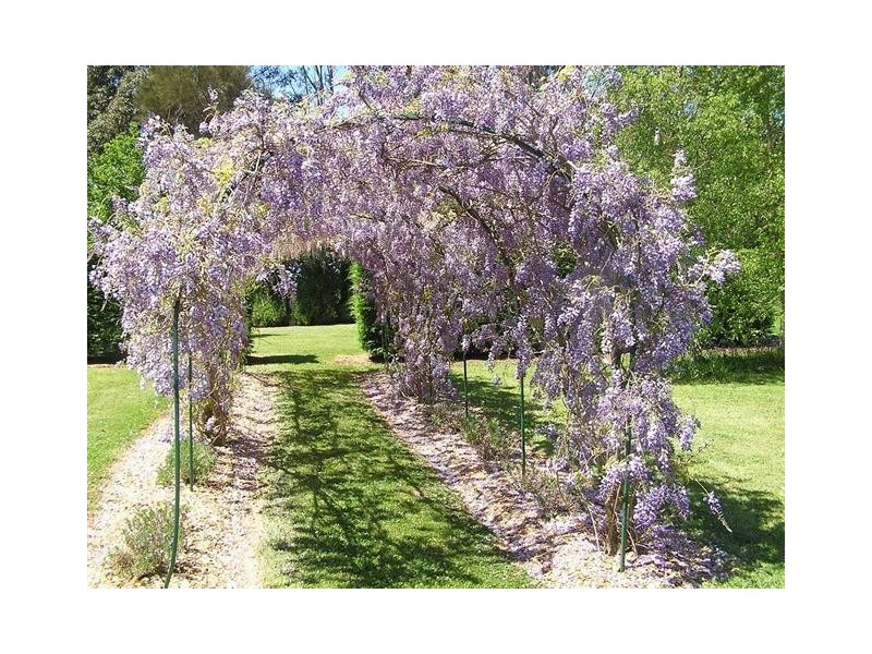 1105 Jacksons Track, Jindivick VIC 3818